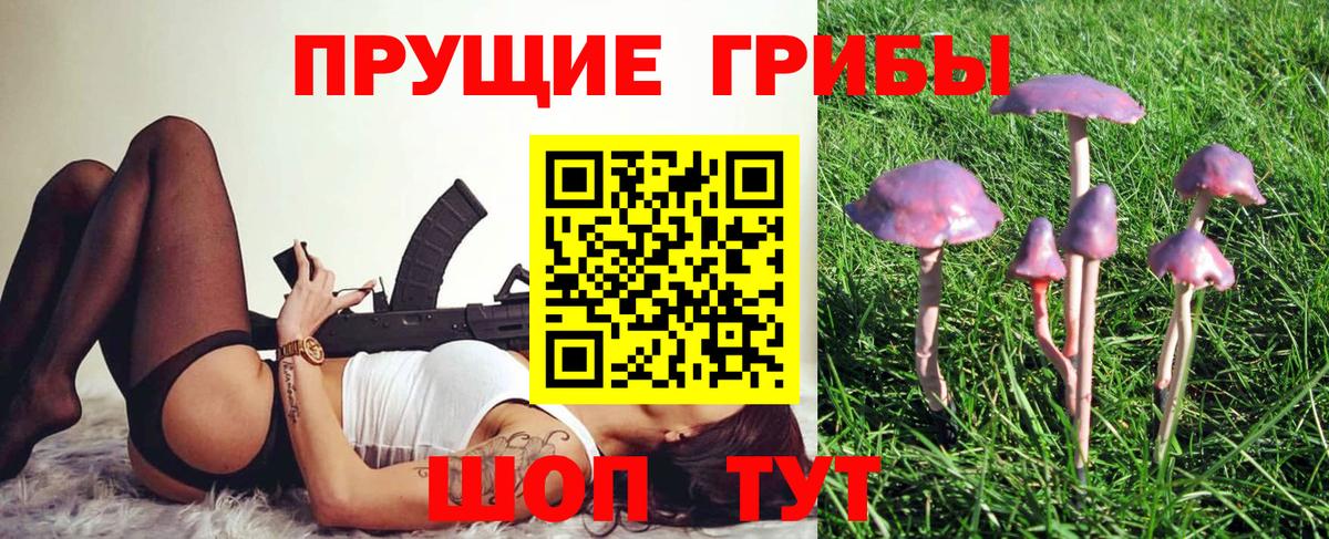 Кольчугино  Псилоцибиновые грибы GOLDEN TEACHER  Галлюциногенные грибы мухоморы  где купить наркоту  Вход с VPN 