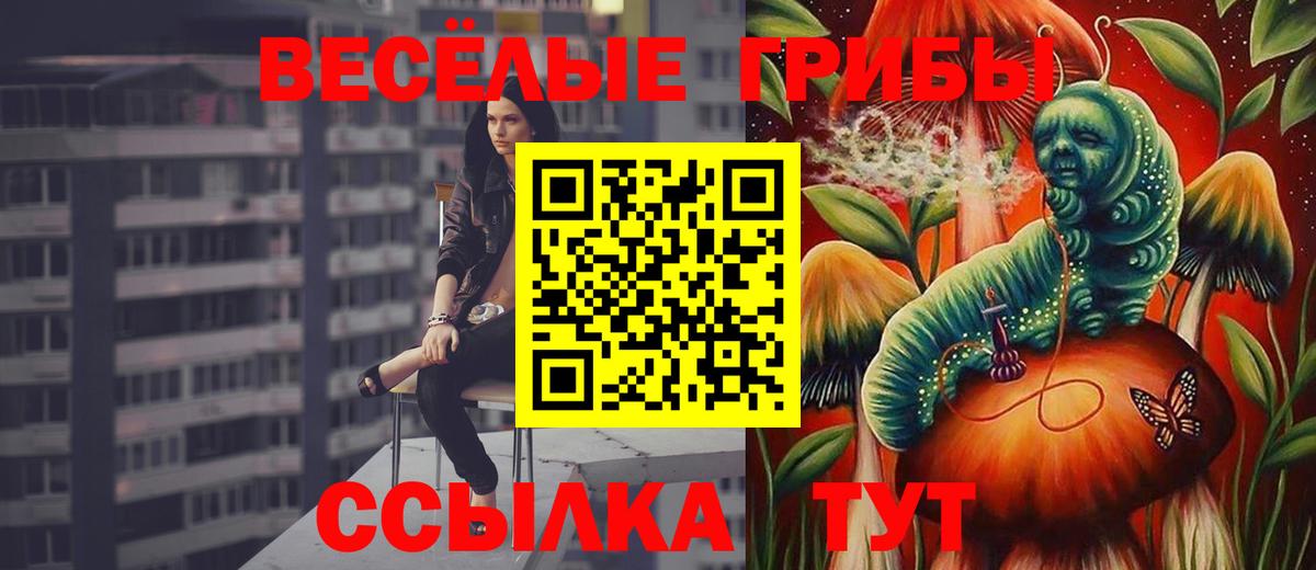 Галлюциногенные грибы GOLDEN TEACHER Кольчугино