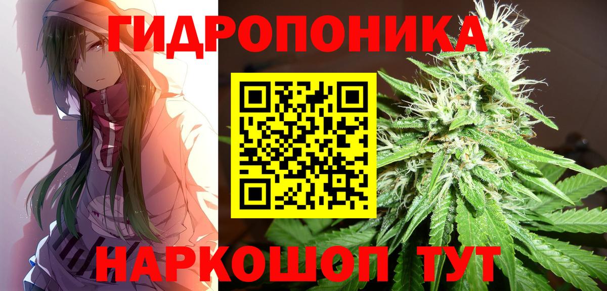 Бошки марихуана ГИДРОПОН  Конопля гибрид  МАРИХУАНА тримм  Марихуана SATIVA & INDICA  Кольчугино  Вход с VPN 